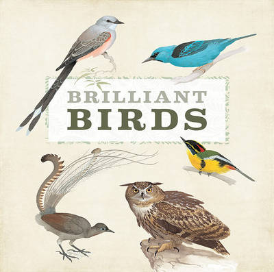 Brilliant Birds