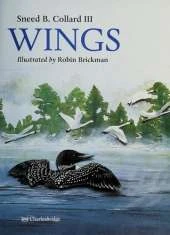 Wings