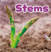 Stems