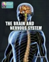 PYP L10 Brain and Nervous System single