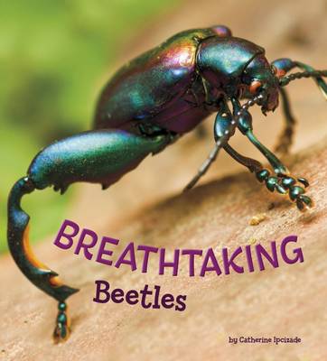 Marvellous Minibeasts! Pack A of 4