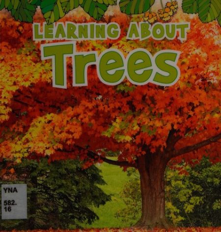 Learning About Trees