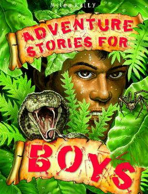 Adventure Stories for Boys
