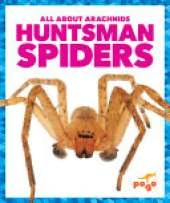Huntsman Spiders