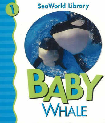 Baby Whale