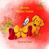 Bertie Meets Santa