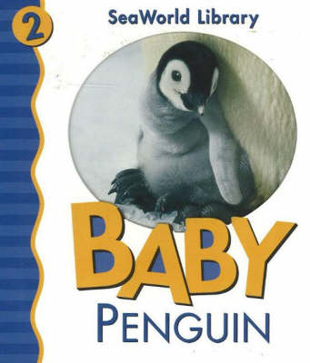 Baby Penguin