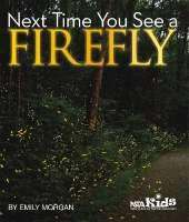 Next Time You See a Firefly