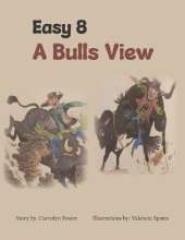 Easy 8: A Bulls View