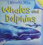 Flip the Flaps: Whales and Dolphins