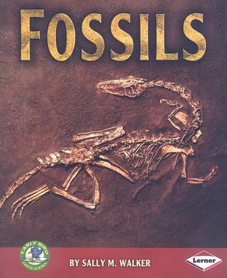Fossils: Early Bird Earth Science series