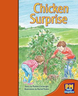 Chicken Surprise