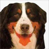 Dogs and Puppies