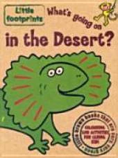 What's Going on in the Desert?