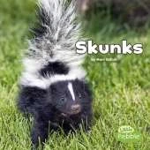 Black and White Animals Skunks