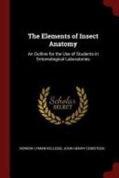 The Elements of Insect Anatomy: An Outline for the Use of Students in Entomological Laboratories