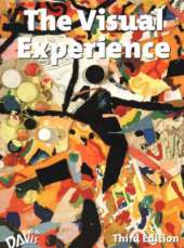 Visual Experience