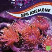 Faceless, Spineless and Brainless Ocean Animals Pack A of 4