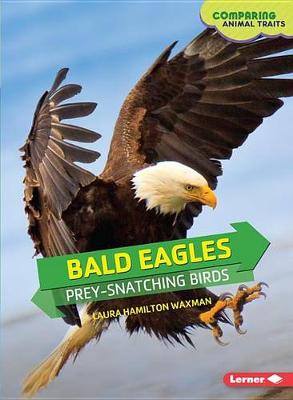 Bald Eagles: Prey Snatching Birds