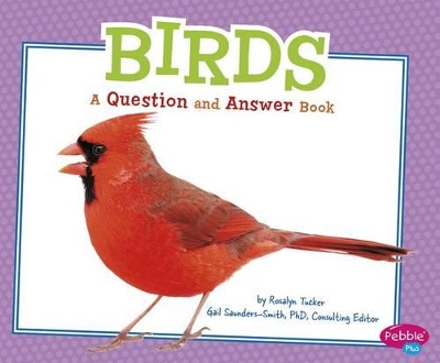 Animal Kingdom Questions and Answers Birds a Question and Answer Book