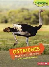 Ostriches: Fast Flightless Birds