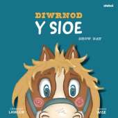 Diwrnod y Sioe