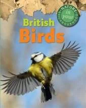 Nature in Your Neighbourhood: British Birds