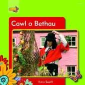 Cawl o Bethau
