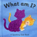 What am I?