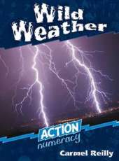 Action Numeracy: Wild weather