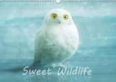Sweet Wildlife / UK-Version / Birthday Calendar 2019: The funny and sweet animal calendar for old and young.