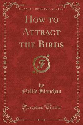 How to Attract the Birds (Classic Reprint)