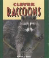 Clever Raccoons: Pull Ahead