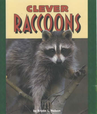 Clever Raccoons: Pull Ahead