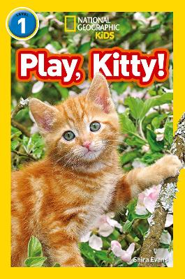 Play, Kitty!: Level 1