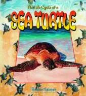 The Life Cycle of a Sea Turtle