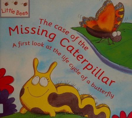 Little Bees: The Case Of The Missing Caterpillar: A first look at the life cycle of a butterfly