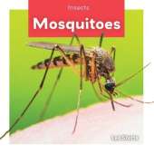 Insects: Mosquitoes