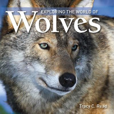 Exploring the World Of Wolves