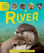 Life Cycles: River