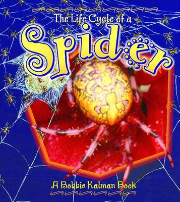 The Life Cycle of a Spider