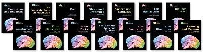 Gray Matter Set