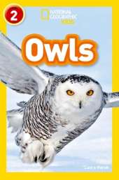 Owls: Level 2