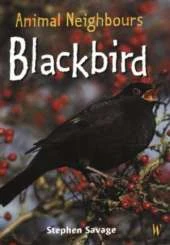 Animal Neighbours: Blackbird