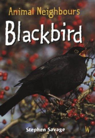 Animal Neighbours: Blackbird