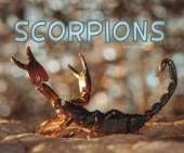 Scorpions