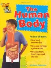 The Human Body