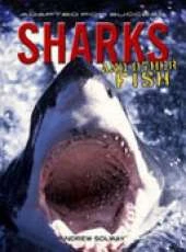 Sharks and other fish
