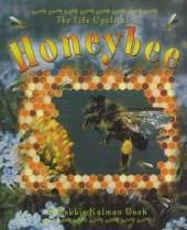 The Life Cycle of a Honeybee