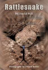 Rattlesnake